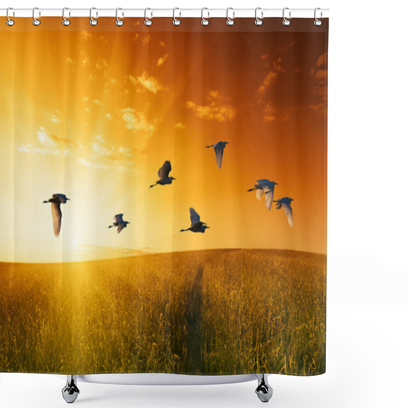 Personality  Field Of Grass And Flying Birds Shower Curtains