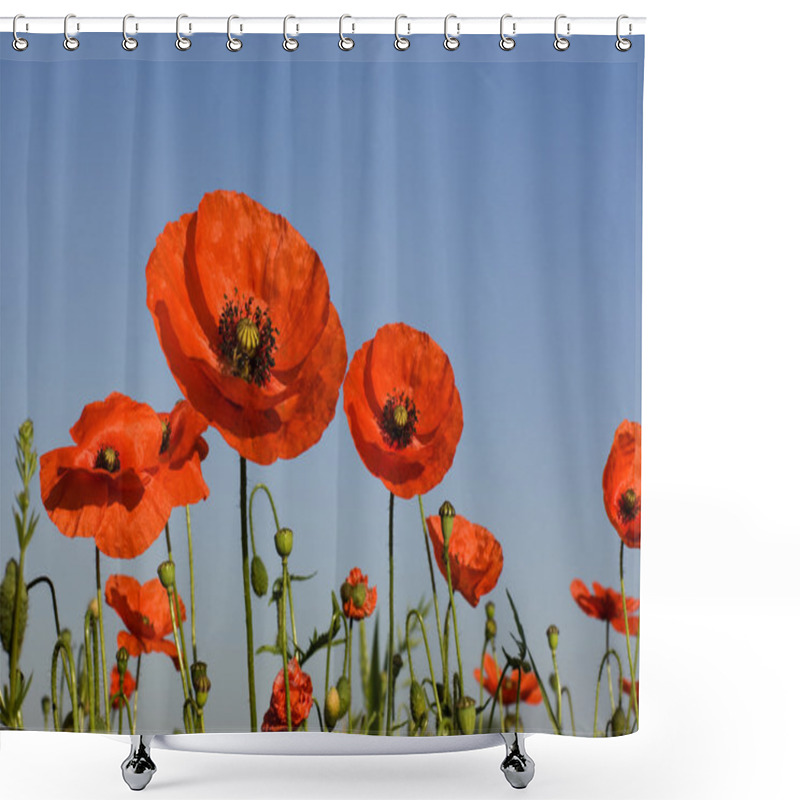 Personality  Poppies Shower Curtains