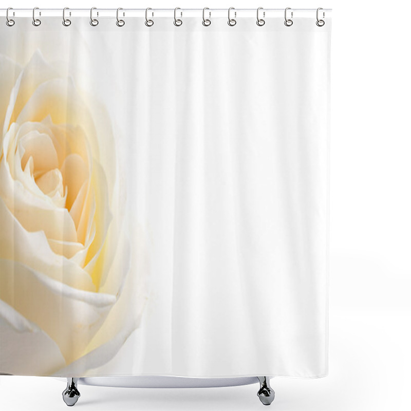 Personality  Rose Flowers Close Up On Background . Shower Curtains