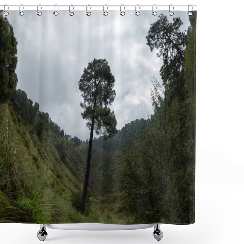 Personality  Unique Lone Tree Stands Tall In A Lush Valley Under A Cloudy Sky Shower Curtains