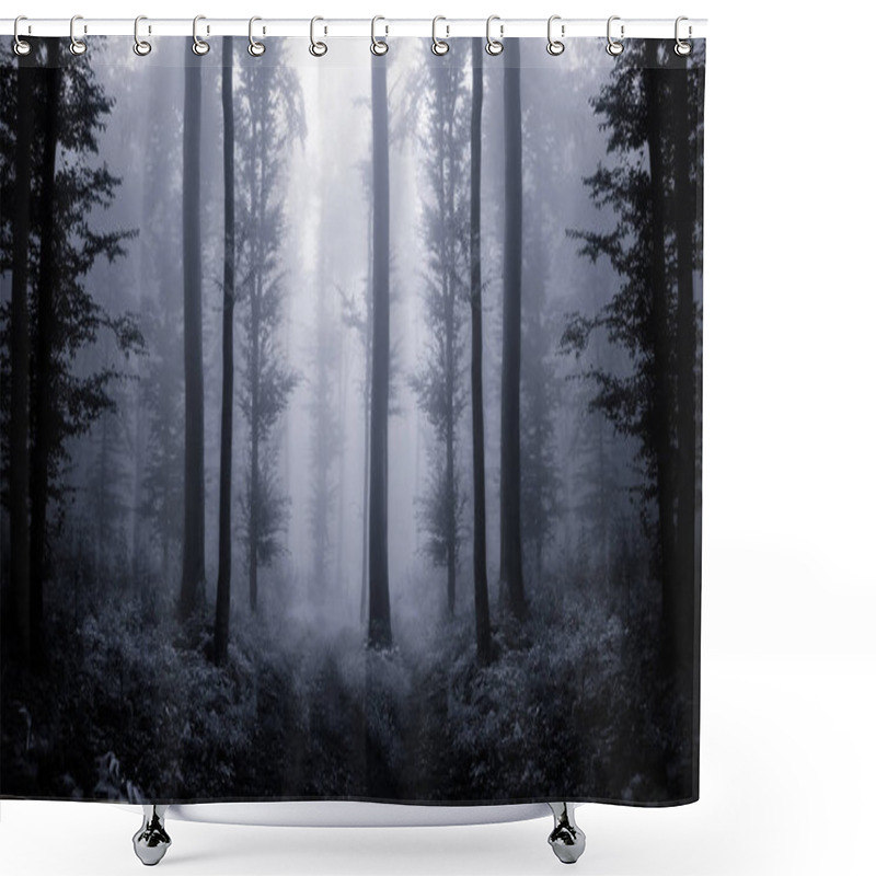 Personality  Surreal Forest With Trees In Fog, Fantasy Atmosphere Shower Curtains