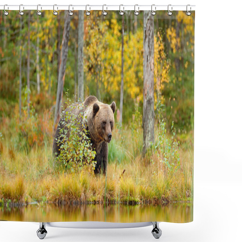 Personality  Bear Hidden In Yellow Forest Shower Curtains