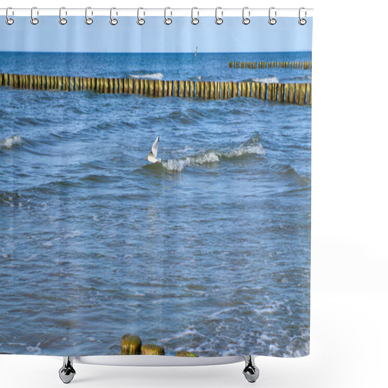 Personality  Seagull Flies Along The Coast Over Waves By The Sea. Groynes Jut Out Into The Baltic Sea. Animal Photo From Nature Shower Curtains