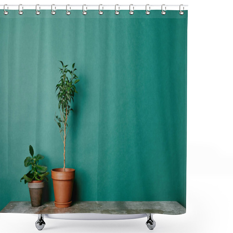 Personality  Two Plants In Flowerpots On Green Background Shower Curtains