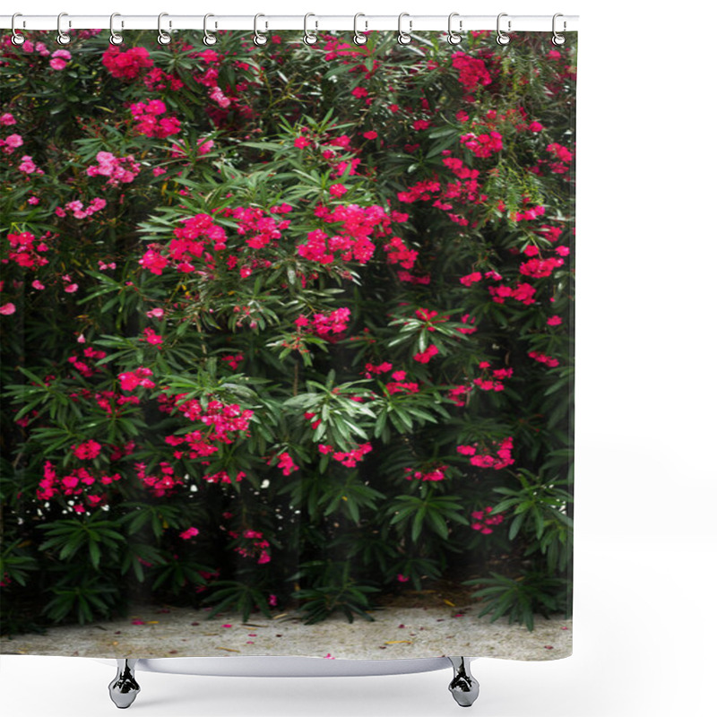 Personality  Flowering Shrub. Bright Crimson Flowers. Shower Curtains