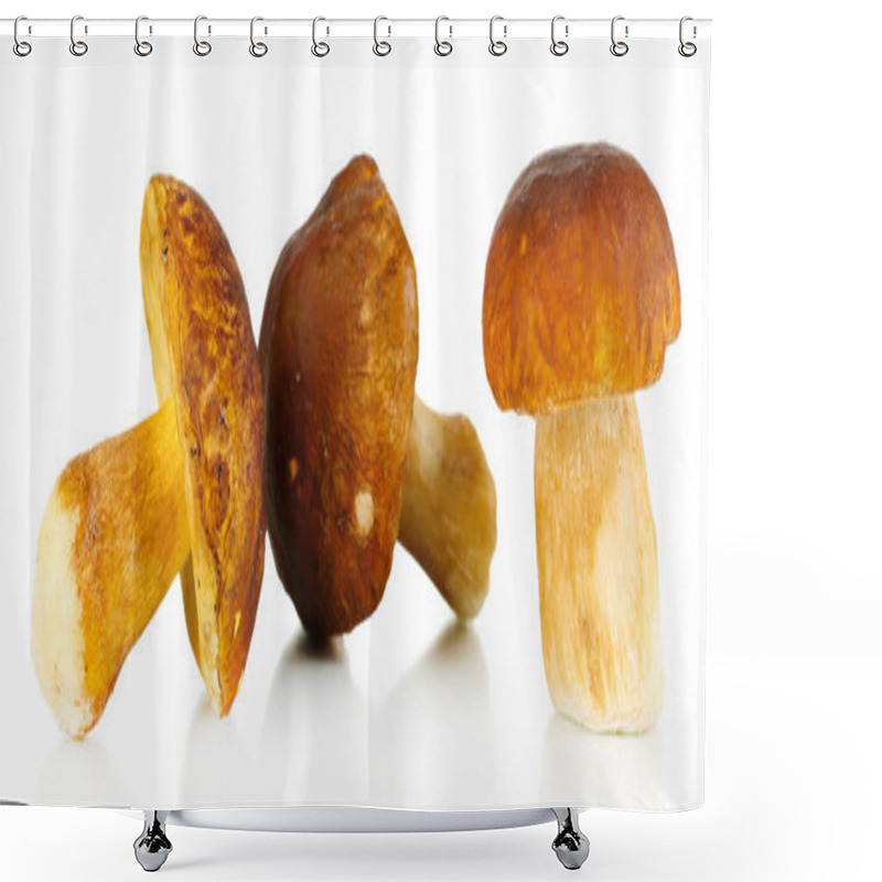 Personality  Fresh Mushrooms Isolated On White Shower Curtains