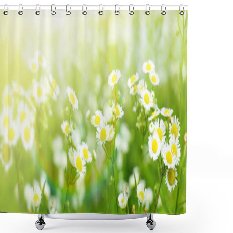 Personality  Beautiful Chamomile Flowers Shower Curtains