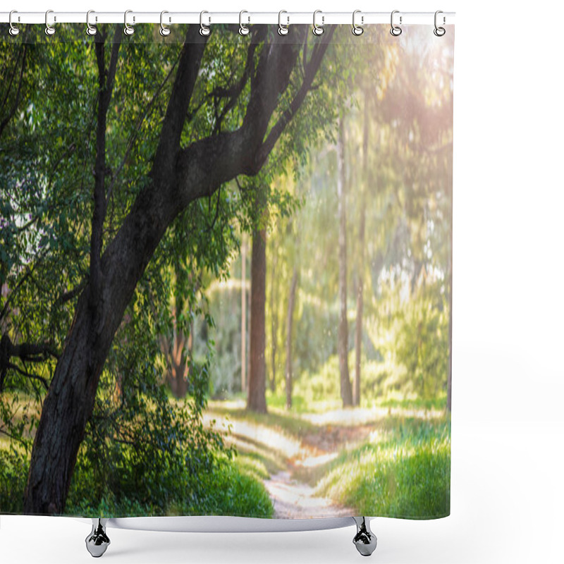 Personality  Empty Pathway In Park With Green Trees And Sunlight Shower Curtains