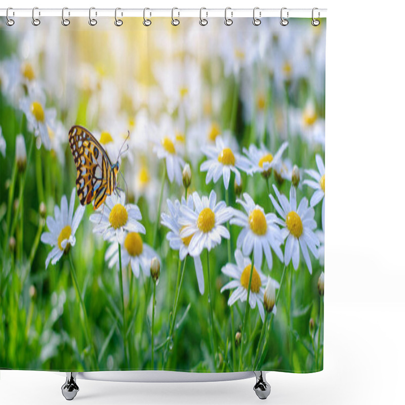 Personality  The Yellow Orange Butterfly Is On The White Pink Flowers In The Green Grass Fields Shower Curtains