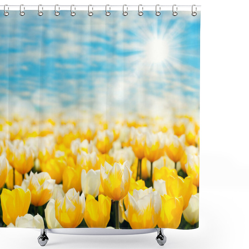 Personality  Tulips Flowers In Meadow, Spring Flora Shower Curtains