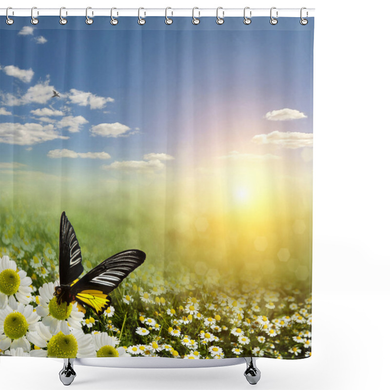 Personality  Camomile Field Shower Curtains