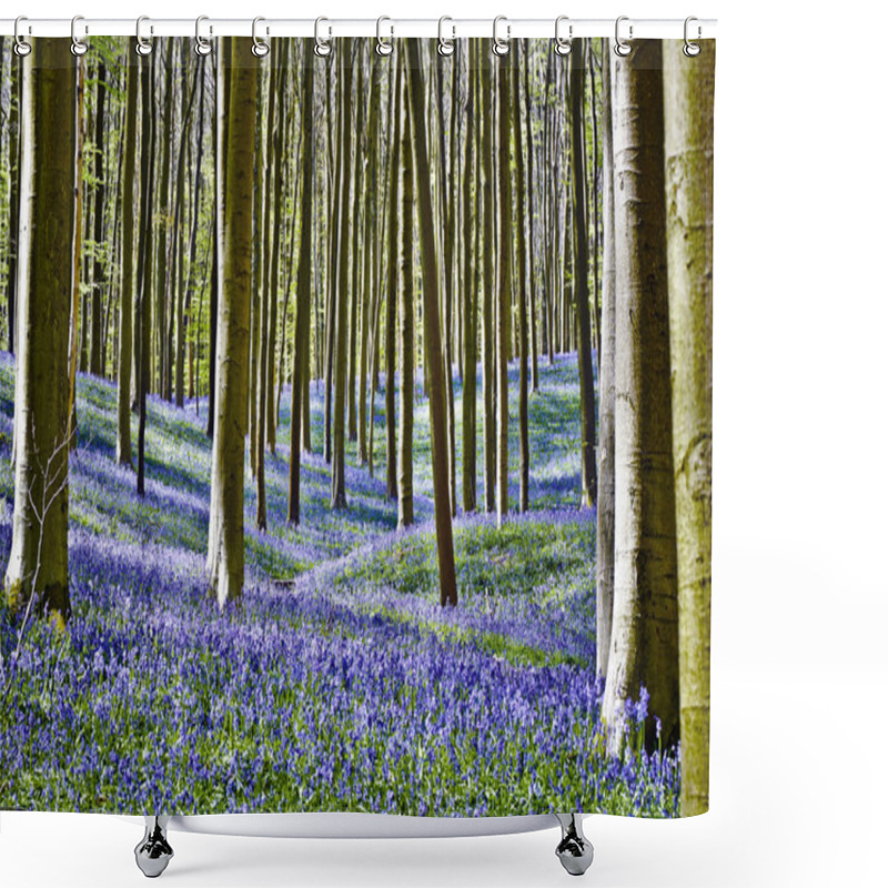 Personality  Magical Morning  In Forest Of Halle With Bluebell Flowers Shower Curtains