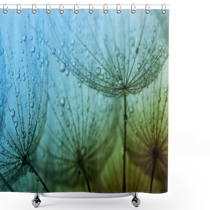 Personality  Seeds With Drops Shower Curtains