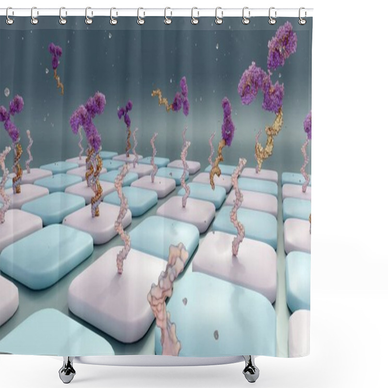 Personality  Antibody-oligonucleotide Conjugates Or AOC Use In Antibody Arrays; 3d Rendering Shower Curtains