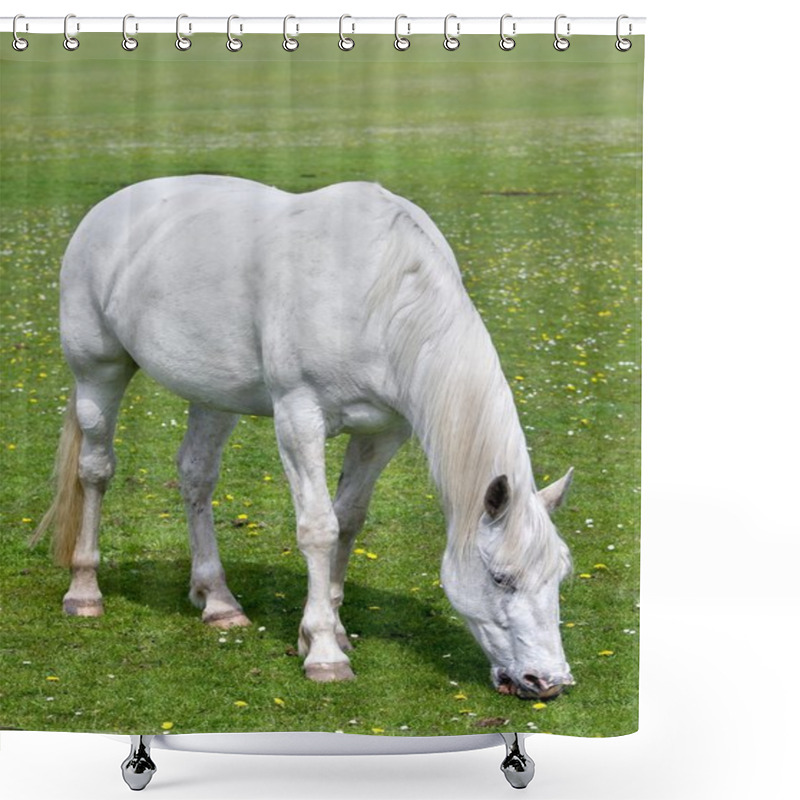 Personality  White Horst Shower Curtains