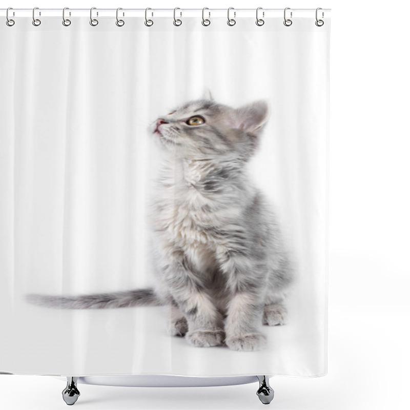 Personality  Grey Kitten Shower Curtains