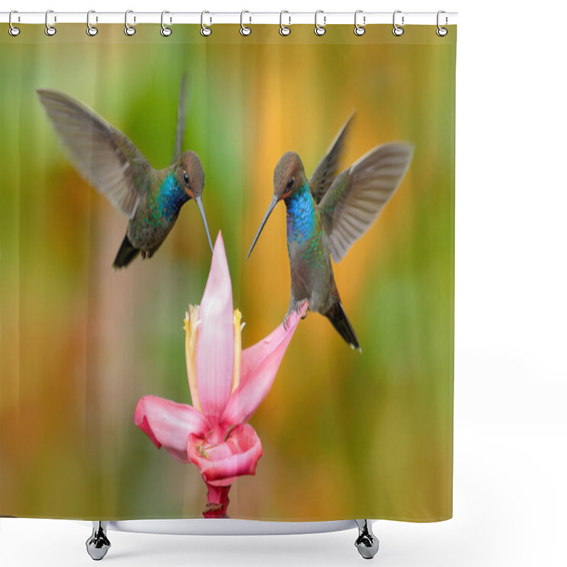 Personality  White-tailed Hillstar, Urochroa Bougueri, Two Hummingbirds Shower Curtains