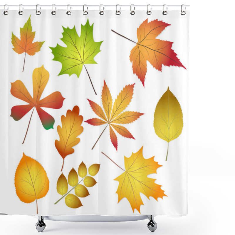 Personality  Collection Beautiful Colourful Autumn Leaves Isolated On White B Shower Curtains