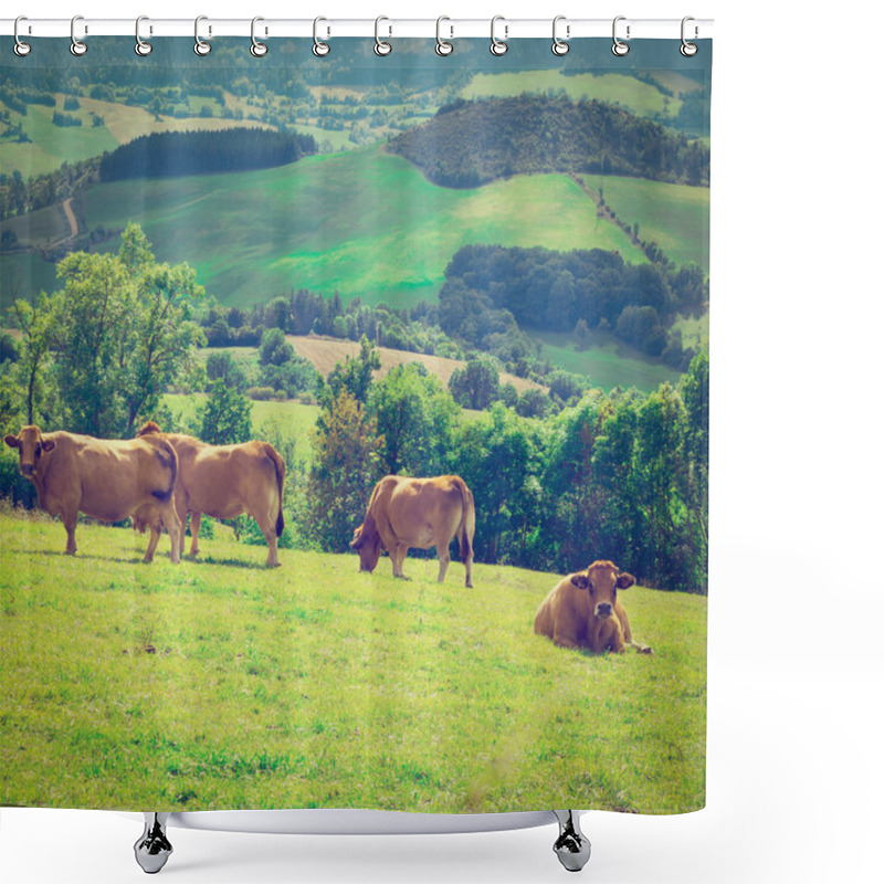 Personality  Cows Shower Curtains