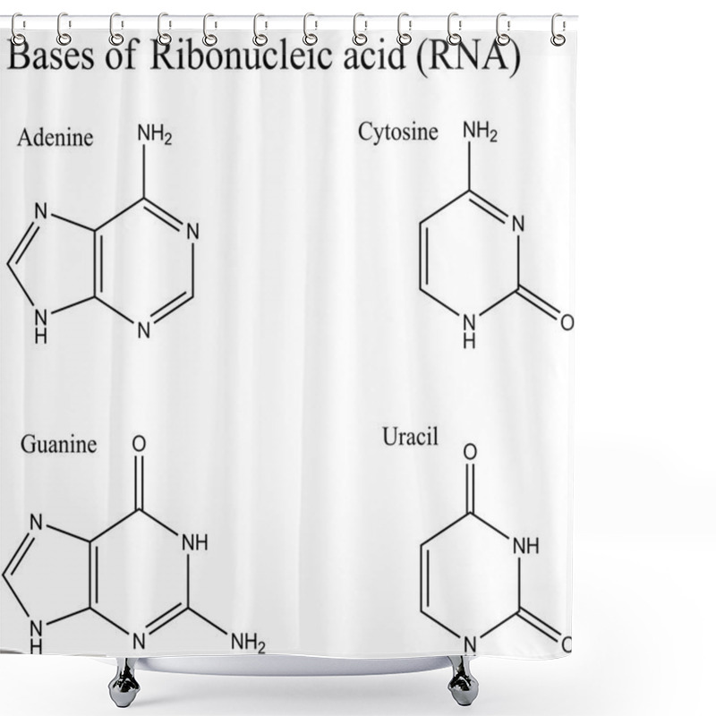 Personality  Structure Of RNA Nucleobases Shower Curtains