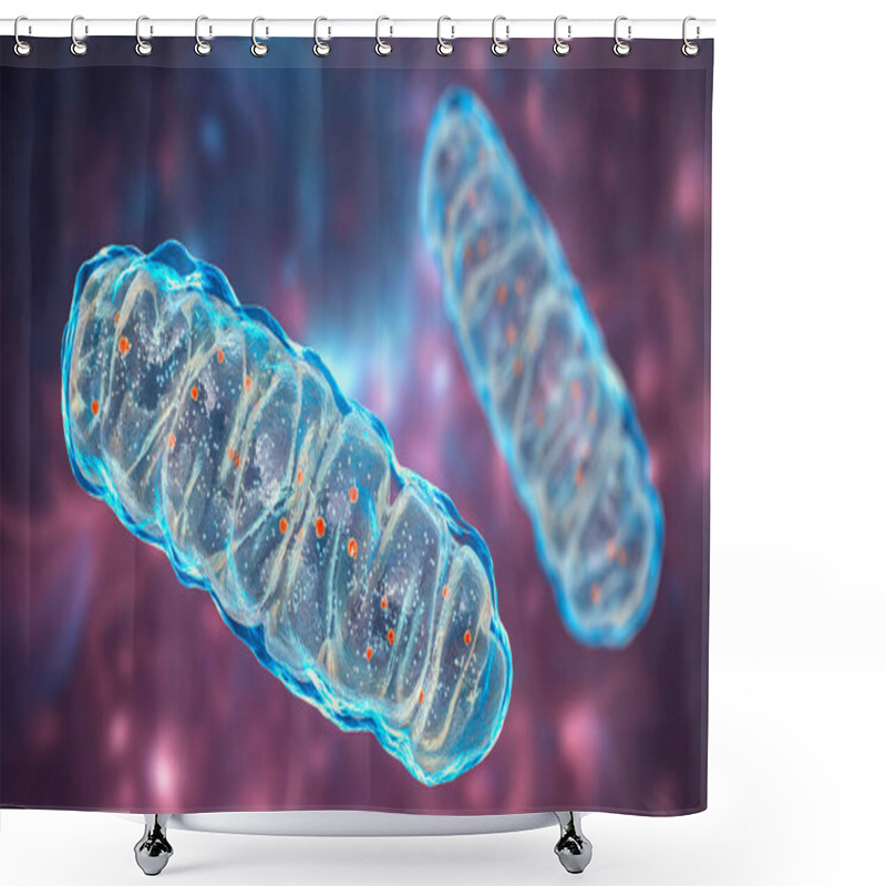 Personality  Mitochondria, A Membrane-enclosed Cellular Organelles Producing Energy, 3D Illustration Shower Curtains