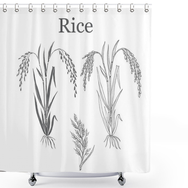 Personality  Rice Plant Vector Illustration Shower Curtains