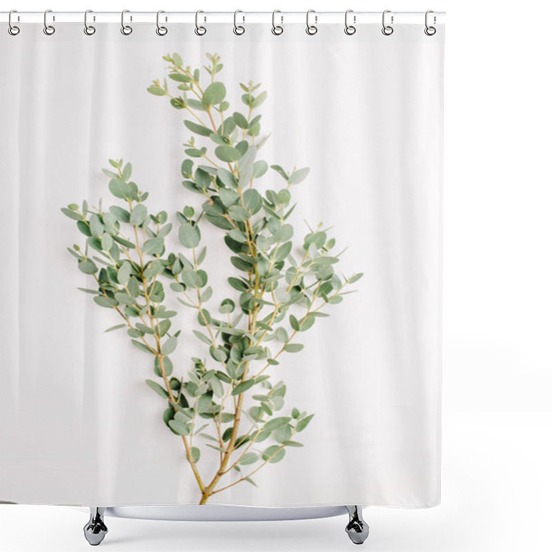 Personality  Eucalyptus Branch On White Background. Minimalistic Flower Concept. Flat Lay, Top View. Shower Curtains