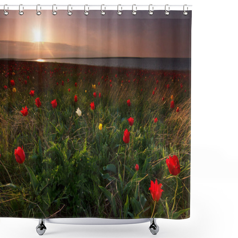 Personality  Green Field With Tulips Shower Curtains