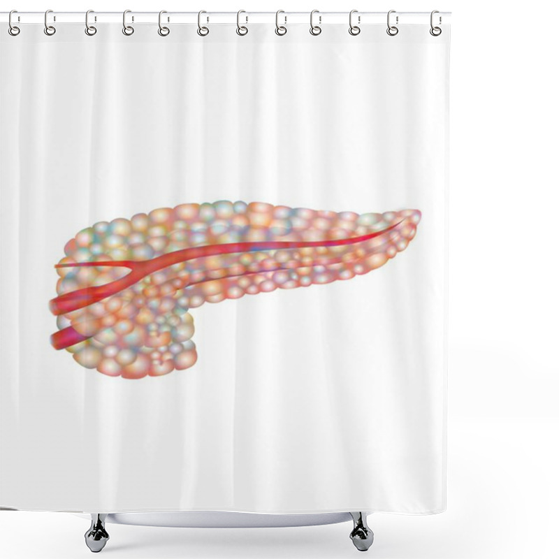 Personality  Pancreas. Medical Illustration, Human Anatomy Shower Curtains