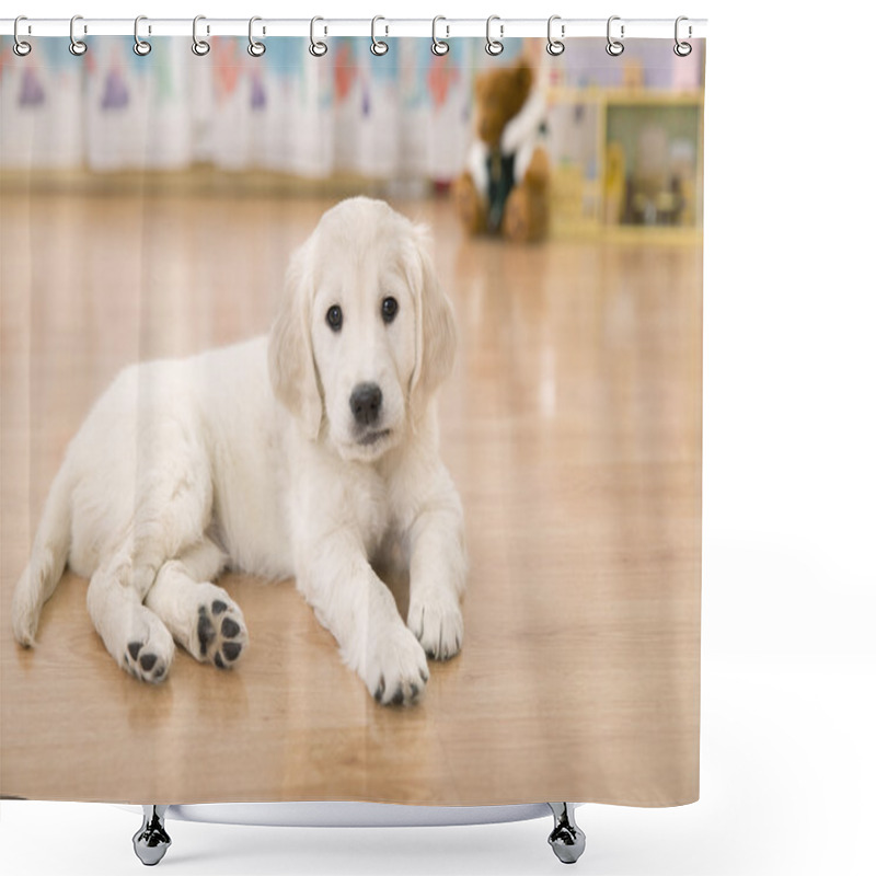 Personality  Golden Retriever Puppy Shower Curtains