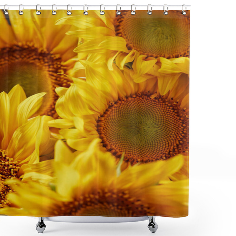 Personality  Summer Texture With Yellow Fragrant Sunflowers Shower Curtains