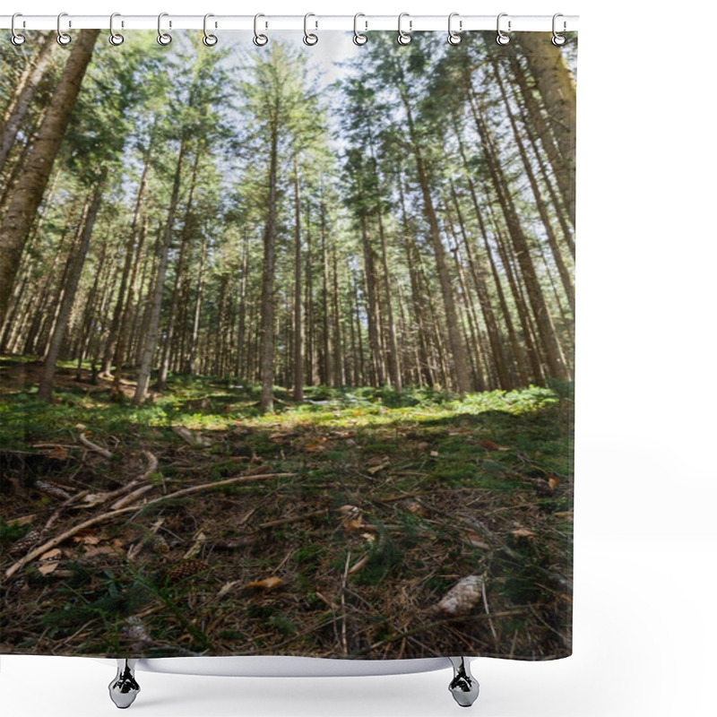 Personality  Moss And Wooden Branches On Ground In Blurred Coniferous Forest  Shower Curtains