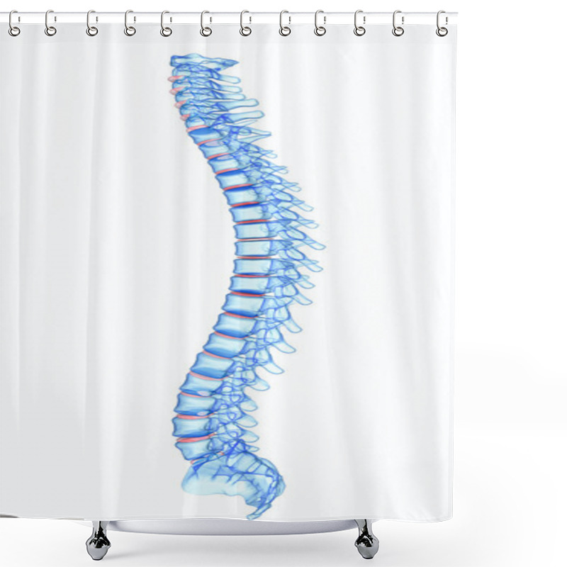 Personality  X-ray Human Spine Shower Curtains