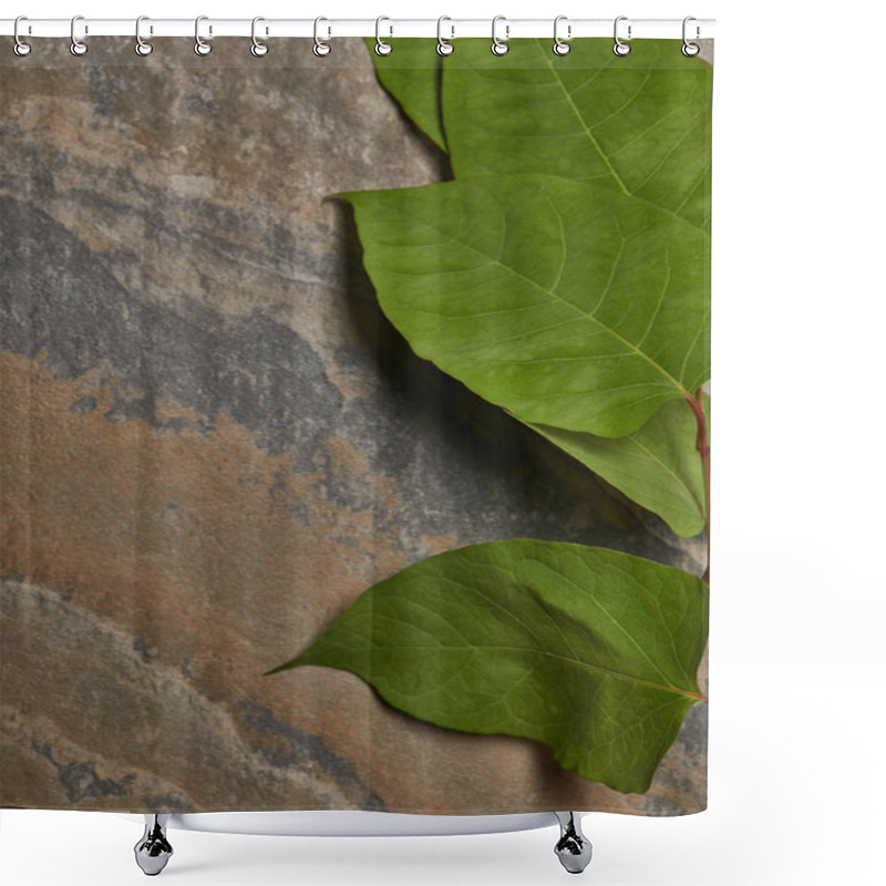 Personality  Green Fresh Leaves On Stone Background With Copy Space Shower Curtains