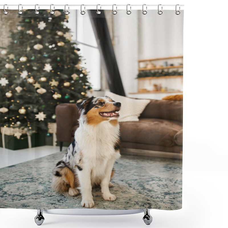 Personality  Fluffy Dog Sitting On Floor In Modern Apartment, Christmas. Shower Curtains