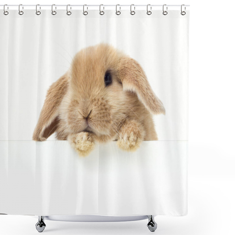 Personality  Easter Rabbit Shower Curtains