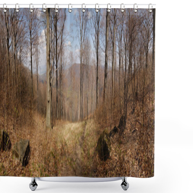 Personality  Forest Scenery With Bare Trees Shower Curtains