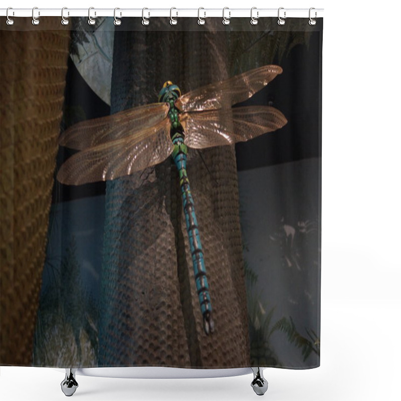 Personality  Meganeura Monyi  Shower Curtains