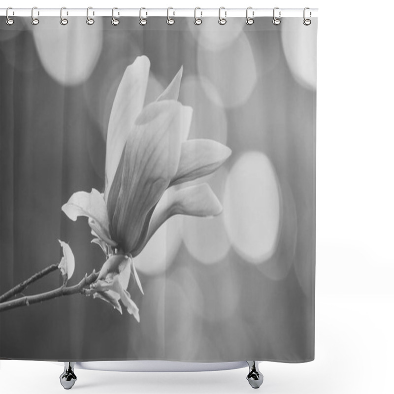 Personality  Magnolia Flower Purple Blossom On Bokeh Natural Background. Shower Curtains