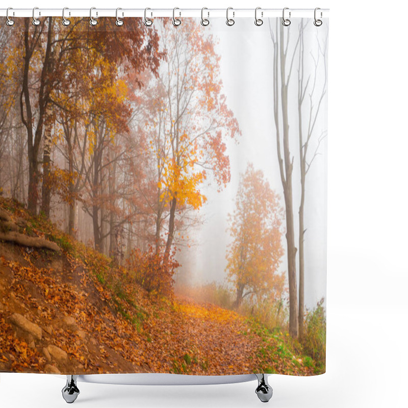 Personality  Autumn Misty Landscape In The Park. Misty Forest. Shower Curtains