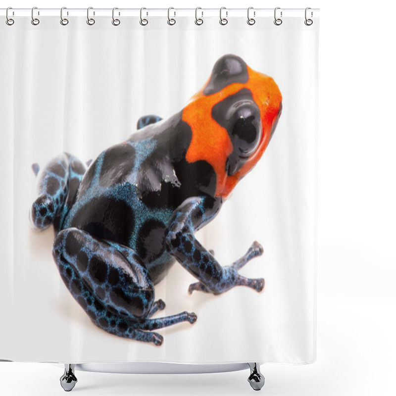 Personality  Poison Dart Frog With Red Head Shower Curtains