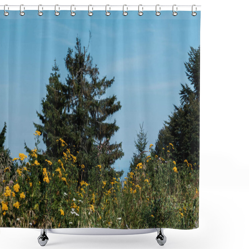 Personality  Low Angle View Of Evergreen Trees Near Blooming Wildflowers  Shower Curtains