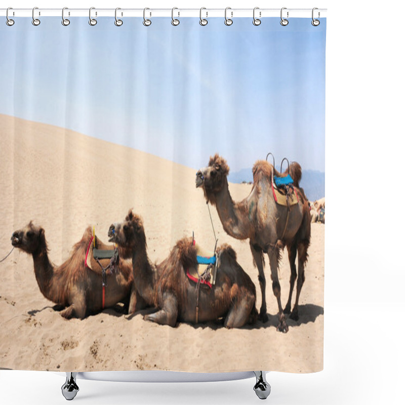 Personality  Camels In The Deserts Shower Curtains