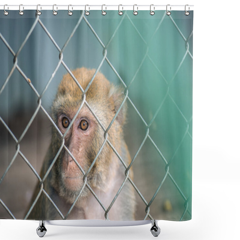 Personality  Sad Monkey Shower Curtains