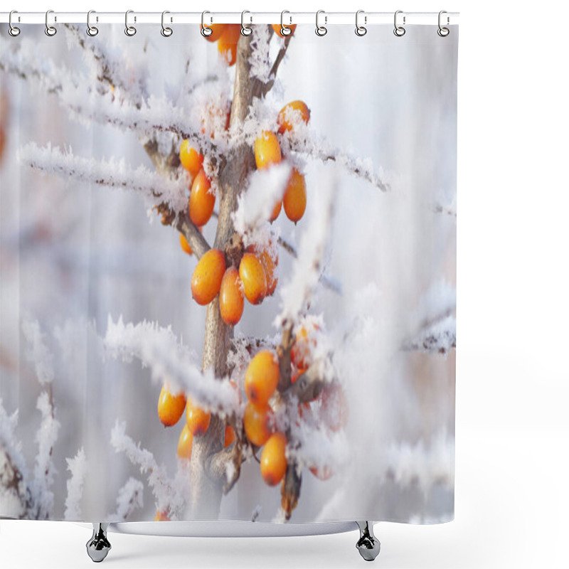 Personality  A Branch Of Ripe Sea Buckthorn Covered With Frost In Winter Shower Curtains