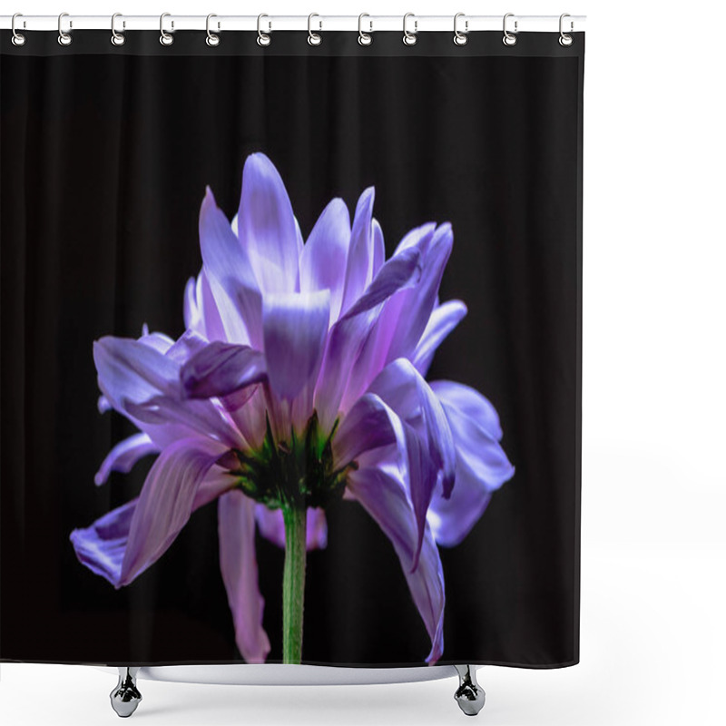 Personality  Flower Shower Curtains