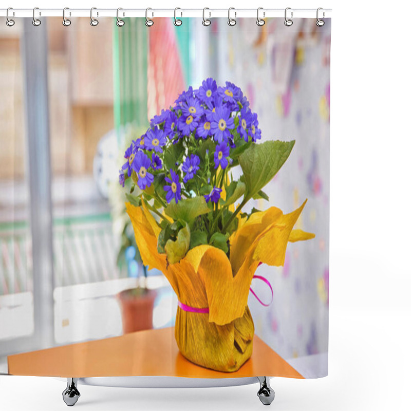 Personality  Blue Flowers In The Calyx, In The Yellow Pot . Blue Anemone Blanda Flower . Grecian Windflower . Bunch Of First Spring Flowers. Anemone Hepatica Blue Forest Flowers Background. Shower Curtains