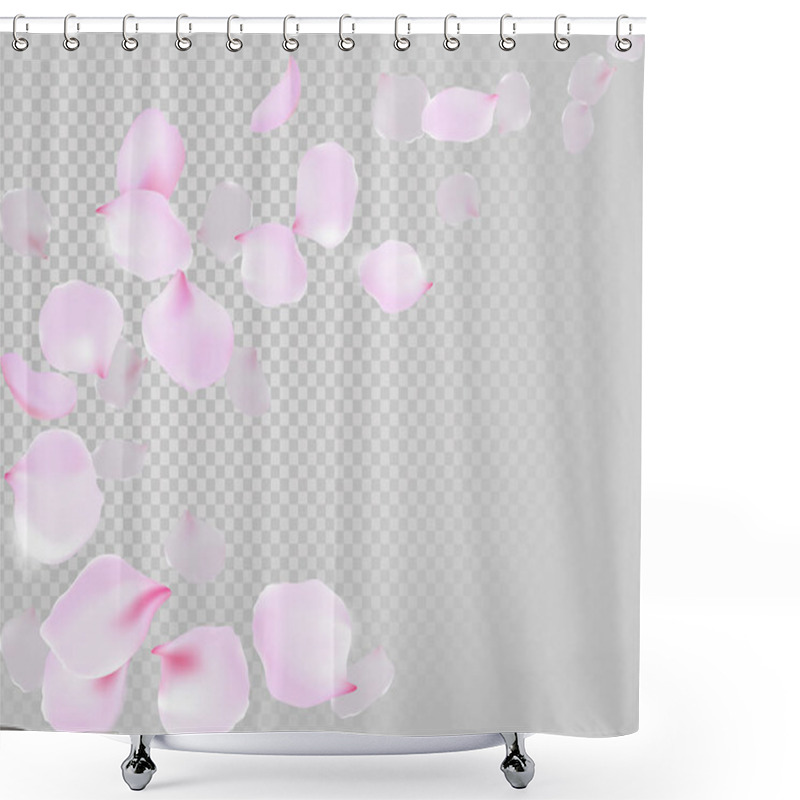 Personality  Falling Rose Petals Soft Delicate Pink Blossom On Transparent Background. Sakura Cherry Flying Flowers. 3d Realistic Design. Vector Illustration Shower Curtains