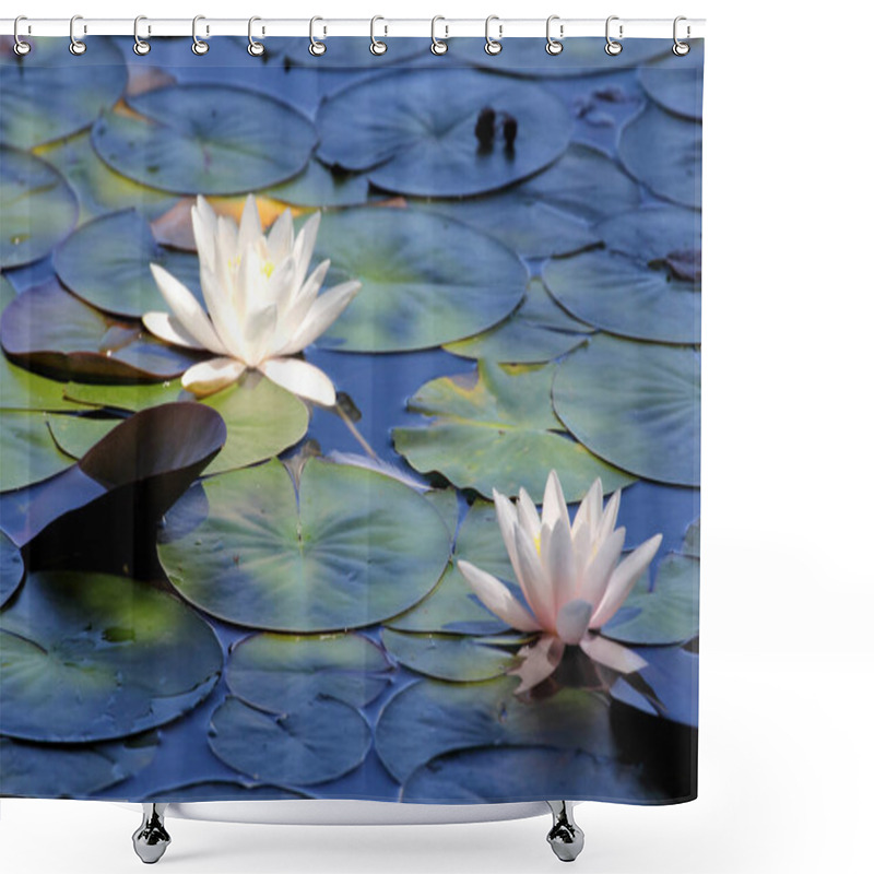 Personality  Beautiful Water Lilies Pond As A Wallpaper Shower Curtains