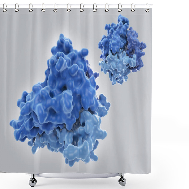 Personality  The Tumor Necrosis Factor. TNF Is A Homotrimeric Cytokine Involved In Inflammation Processes. TNF Main Role Is The Regulation Of Immune Cells. PDB Entry 1tnf Shower Curtains